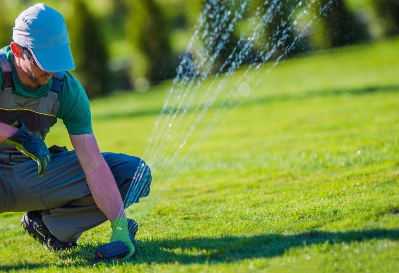 Lawn Sprinkler Service