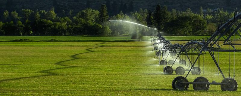 Drip Irrigation Installation in Ventura County, CA