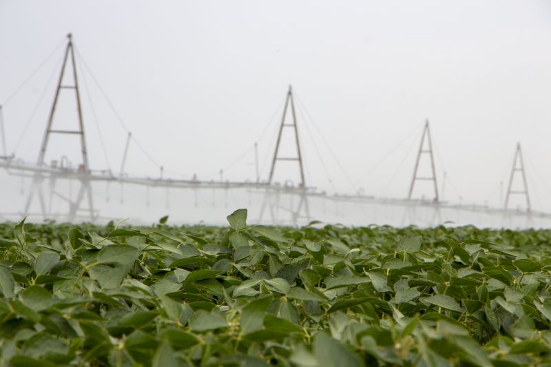 Irrigation Service in Aiken, SC