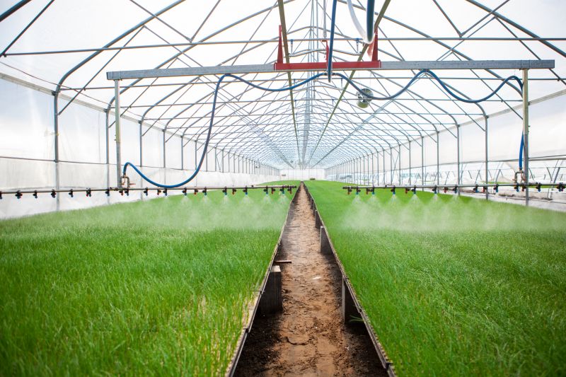 Underground Irrigation Service in Honolulu, HI
