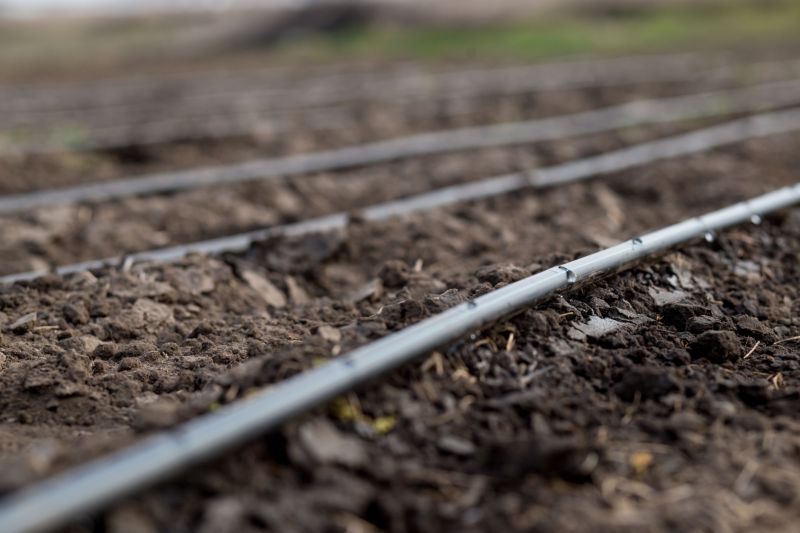 Underground Irrigation Service in Honolulu, HI
