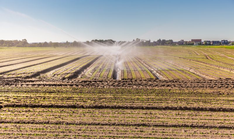 Irrigation Installation in Aiken, SC
